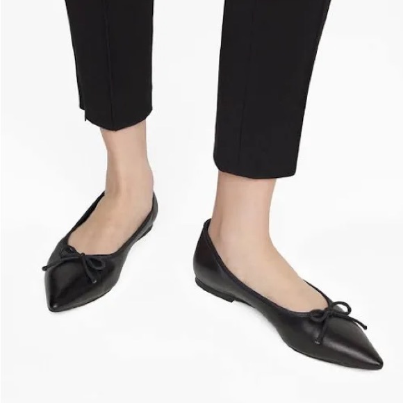 Anine Bing Delphine Flats - Picture 6 of 6